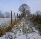 Tweede dag op rij sneuvelt kouderecord: koudste 18 maart sinds begin metingen
