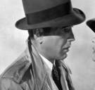 Topcinema in de jungle of op de skipiste: dit zijn onze bioscooptips