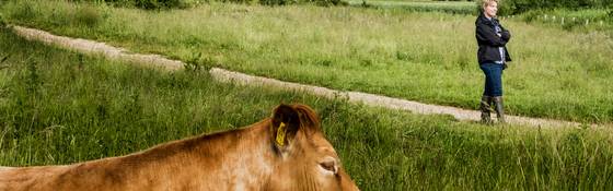 Onderzoek toont aan: natuur maakt blij en gezond