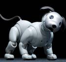 Sony's robothondje Aibo is terug, aaibaarder dan ooit