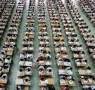 Dumb and dumber: sinds 1975 gaat onze intelligentie achteruit