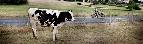 Waarom kiezers in landelijk gebied anders stemmen dan stedelingen