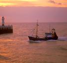 Britse regering stapt uit akkoord: Belgische vissers niet langer welkom in Britse kustwateren