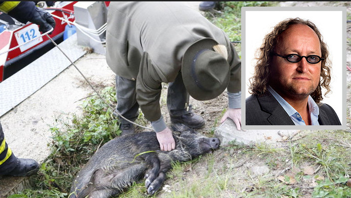 Dion Graus (PVV): Akte van jager Weert intrekken | Binnenland | AD.nl