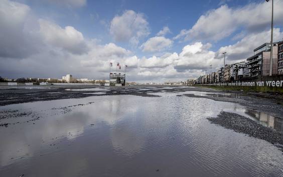 Alarmfase voor gevaarlijk stormtij afgekondigd: wateroverlast in Antwerpen