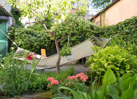 5 tips voor een hittebestendige én watervriendelijke tuin 