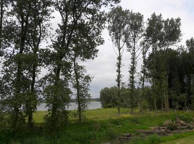 Slibstort in plas langs de Waal mogelijk uitgesteld