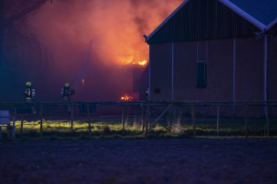 Schuur volledig in brand op boerderij Stavenisse