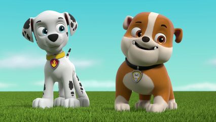10. Pups en Katie stoppen de Kattenclub & Pups redden de Bril