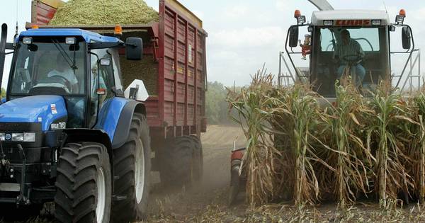 Droogte drama voor melkveehouder uit Twente: helft jaarinkomen verdampt - Tubantia