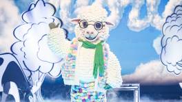 Hello World, dit is Schaapje!