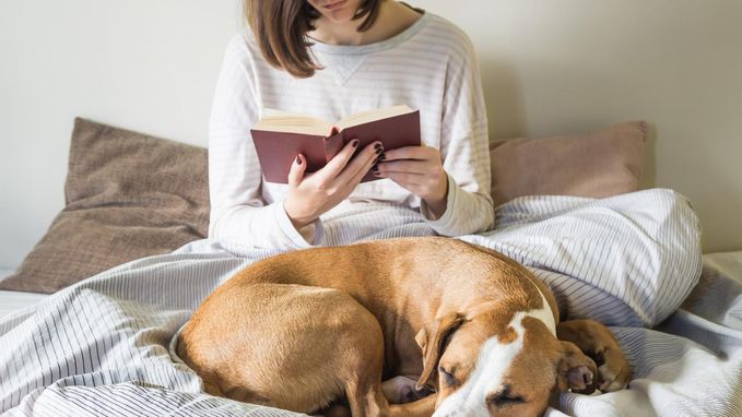 Met je huisdier in bed? 58% van de partners wil het niet