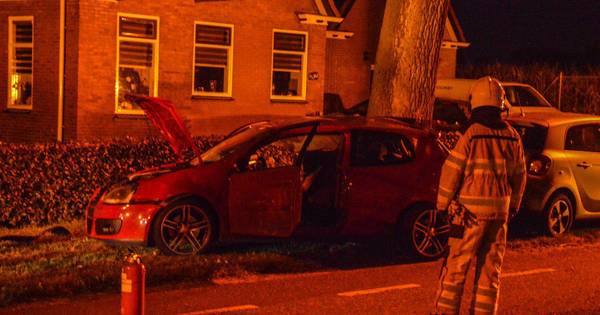 Bestuurder schampt auto en boom in Steenwijkerwold en raakt gewond - De Stentor