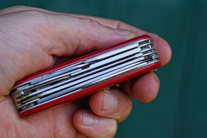 ?appId=21791a8992982cd8da851550a453bd7f&quality=0.9