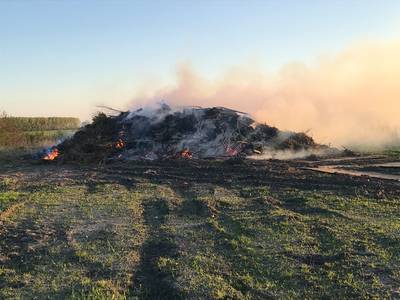 Baakse paasbult door onbekenden in brand gestoken