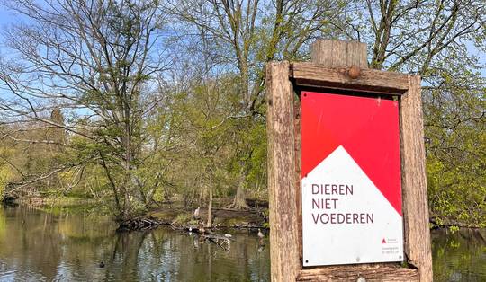 ‘Stop met onze eenden te voederen met broodrestjes’