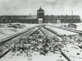 Hoe een straatarm meisje uit Dalfsen kampbewaakster werd in Auschwitz