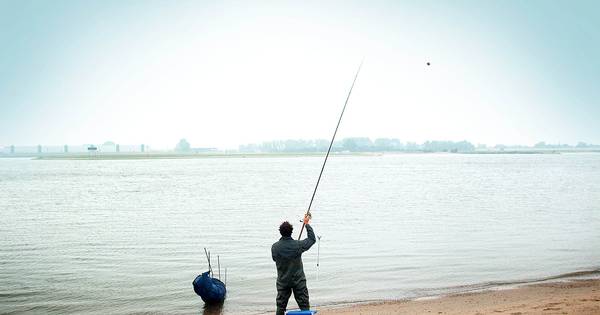 Waalvissen voor wetenschap