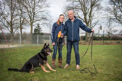 Hond vermist? Duitse herder Chaos speurt hem graag voor je op