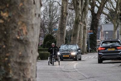 Volledige kap ‘mooiste laantje van Montferland’ van de baan