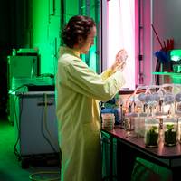 Zonder boom en plant kun je nog steeds fruit kweken, bewijzen deze onderzoekers