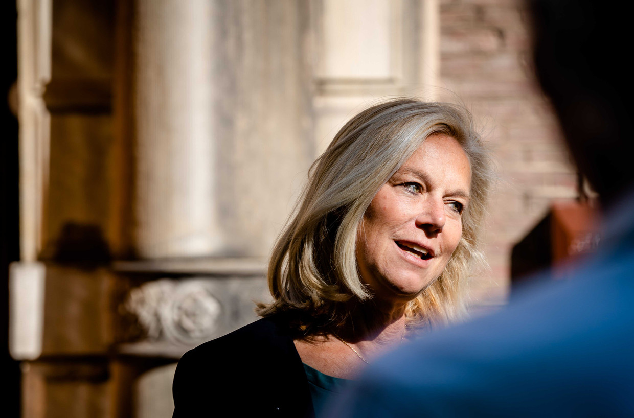 Sigrid Kaag wil D66 leiden: Een atypische politicus, in de ...