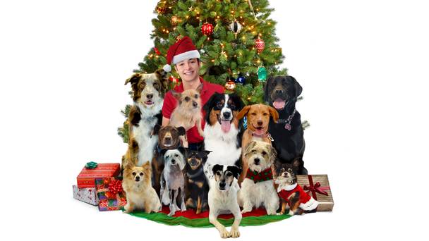 12 Dog Days Till Christmas