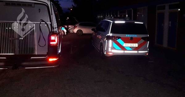 Buurtbewoner speelt cruciale rol bij arrestatie dieven in Wanneperveen - De Stentor
