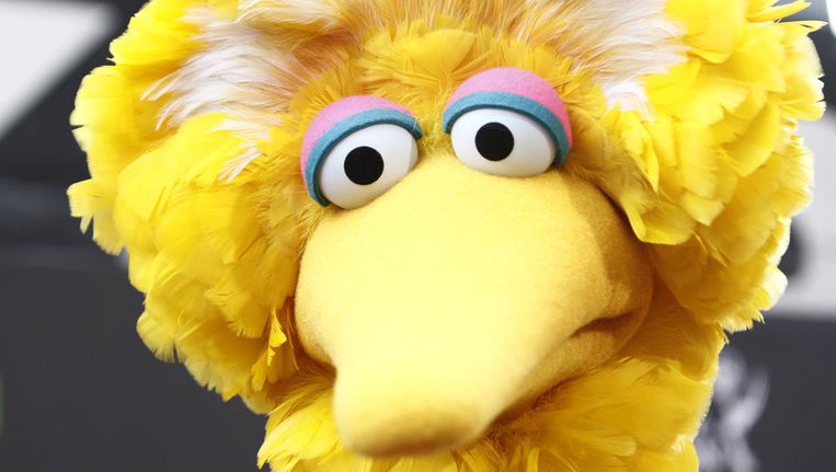 Pino Vliegt Over Toonbank Als Halloweenkostuum Nieuws Hln