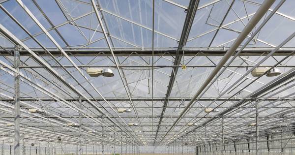 12 hectare grote kas aan Uilkerweg Zuilichem mag er komen - BD.nl