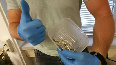 Gestolen ketting teruggevonden in geslachtsdeel van verdachte