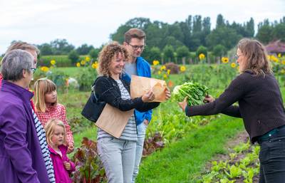 Zelfoogsttuin De Wilde Peen zoekt monden om te voeden
