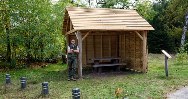 Nieuwe schuilhutten in het Leenderbos | Cranendonck, Heeze-Leende - Eindhovens Dagblad