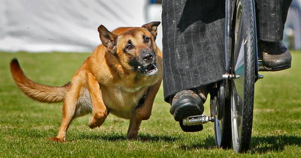 Benteloër (68) op zoek naar getuigen van fietsongeval in Hengelo - Tubantia