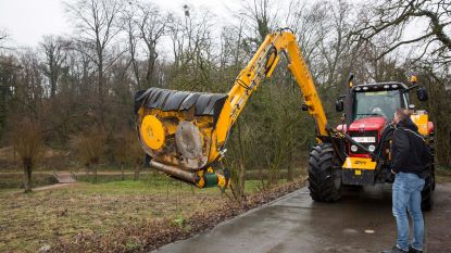 "Zoveel diersoorten op één kilometer berm, iedereen was verrast"