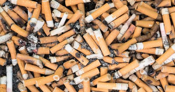 Verdachten growshop op vrije voeten