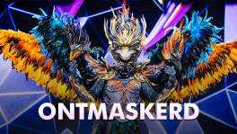 ONTMASKERD: Wie is Feniks echt?