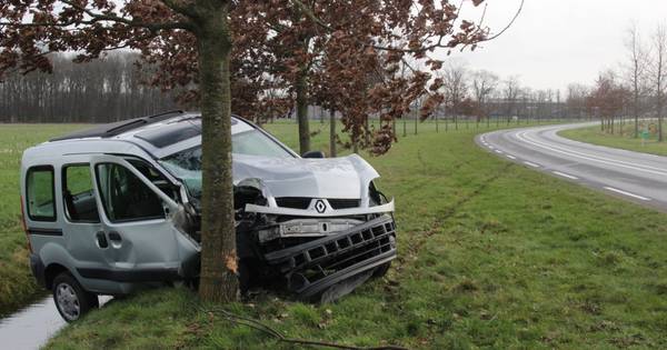 Vrouw knalt tegen boom bij Heeten | Salland | destentor.nl - De Stentor