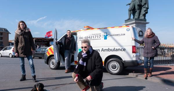 Goed nieuws! De nieuwe dierenambulance van stichting Dierenwelzijn Walcheren is weer op zijn post in Vlissingen. .