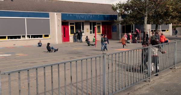 Bijval voor Hellevoetse scholen na vermeende mishandeling 7-jarige oud-leerling - AD.nl