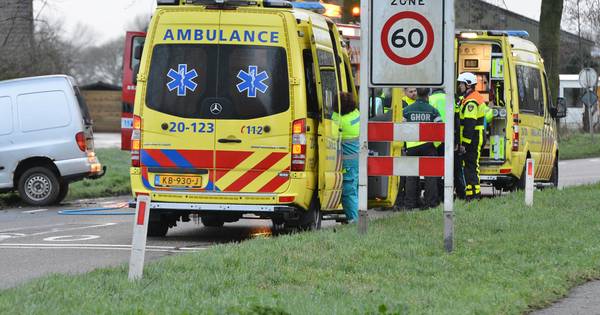 Man overleden bij botsing tegen boom in Lage Zwaluwe - BN DeStem