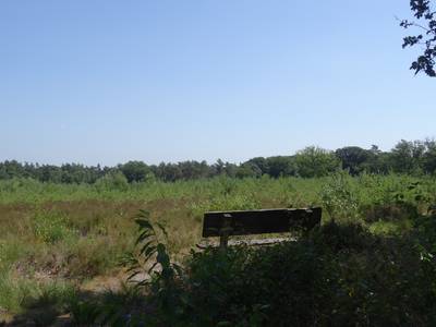 Overprikkeld? Op deze plekken in Nederland is het nog écht stil