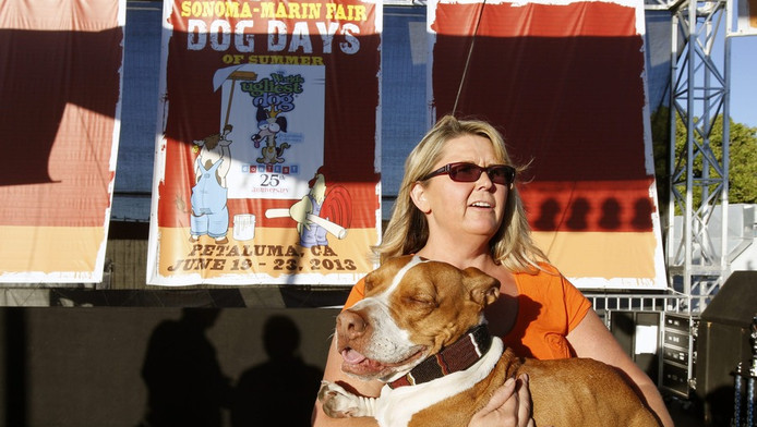 Et Le Chien Le Plus Laid Est Insolite 7sur7be