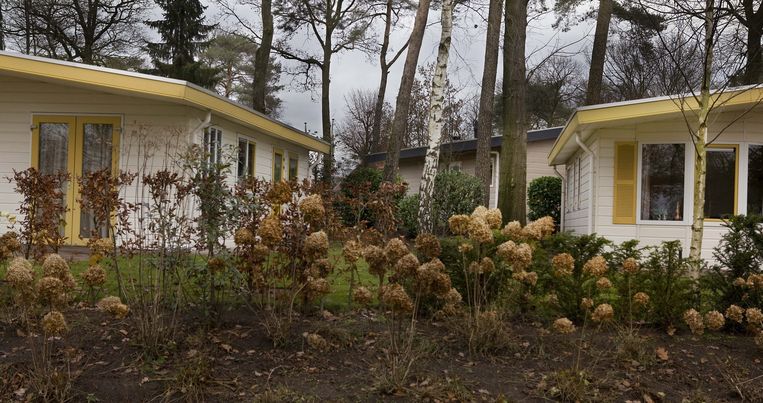 In Scheiding Deze Kerst Huur Een Vakantiehuisje Op De Veluwe De Volkskrant