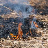 Brandweerman: ‘Niet alleen in Zuid-Europa, ook in Nederland moet je alert zijn op natuurbranden’