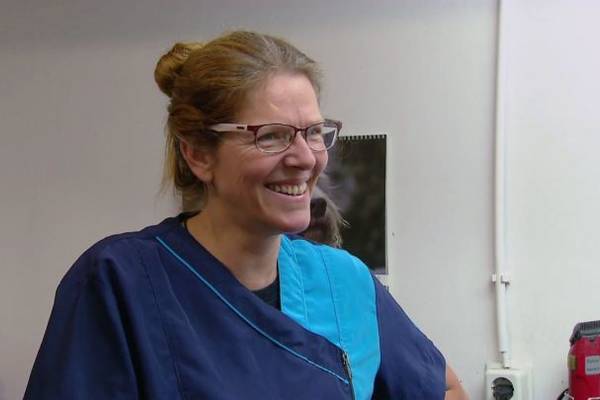 Chantals Beauty Camper