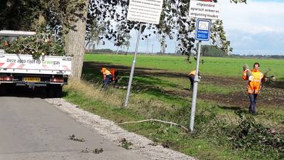 Bomen Veensteeg niet eerder geveld dan volgend jaar