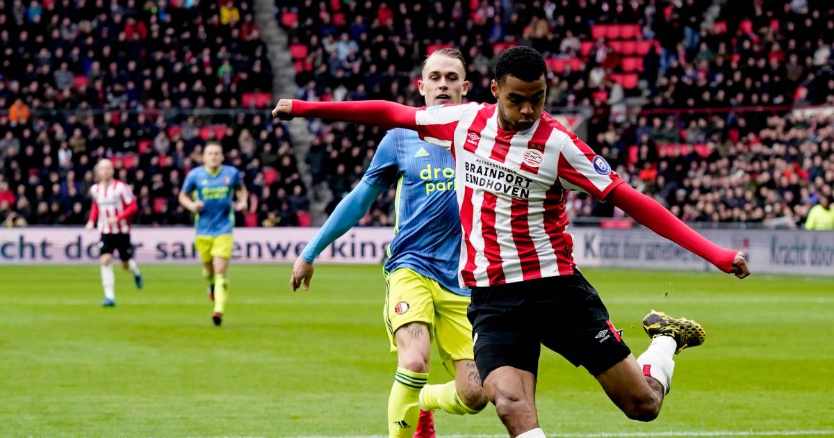 Cody Gakpo bezorgt PSV een punt tegen Feyenoord | PSV | bd.nl