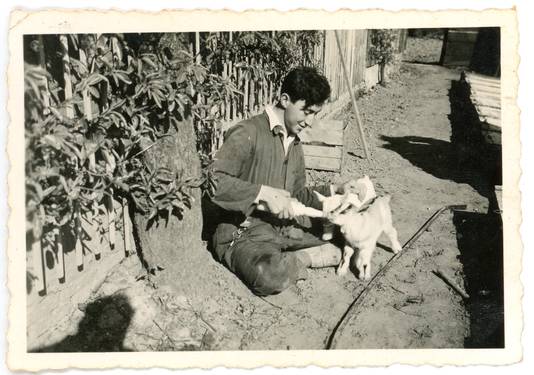 Bruno Schlachet voert een geitje bij Huize Voorburg in Elden, het huis van de in 1942 weggevoerde Palestinapioniers.