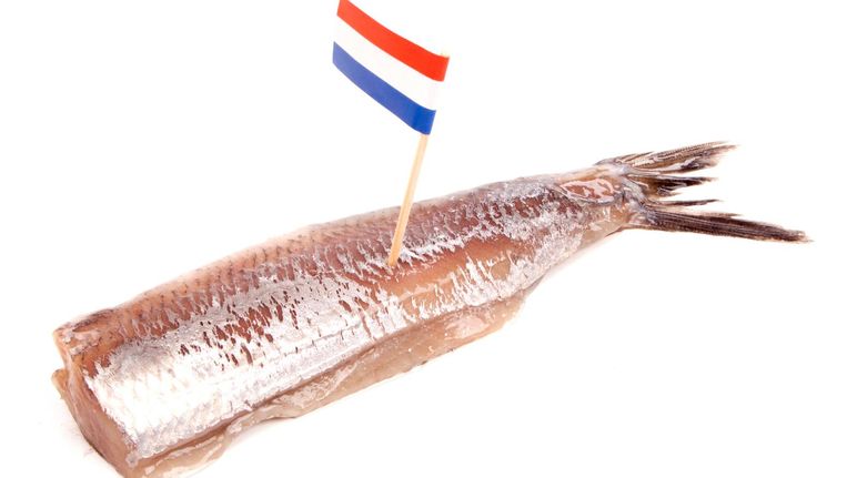 De geoliede pr-machine achter de Hollandse nieuwe | Het Parool
